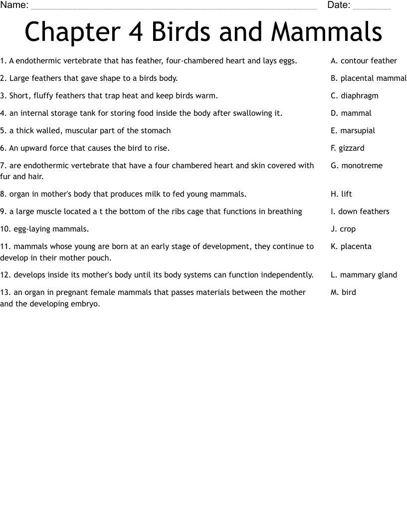 Chapter 4  Birds and Mammals Worksheet