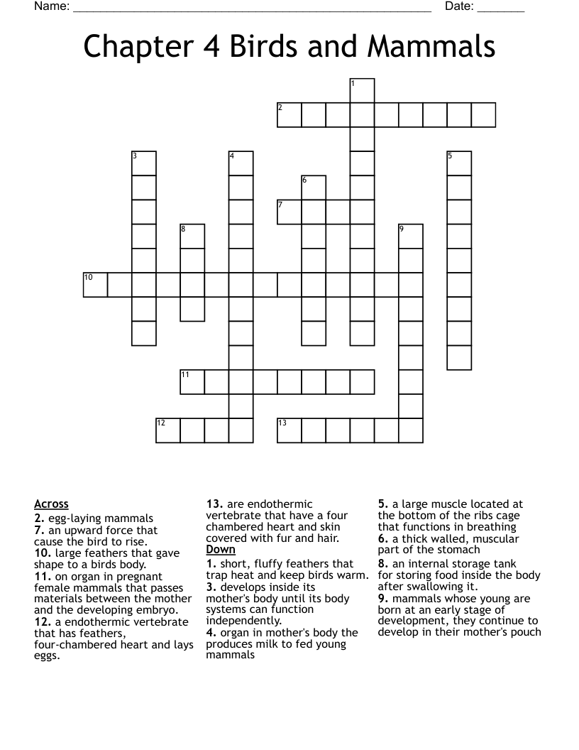 Chapter 4      Birds and Mammals Crossword