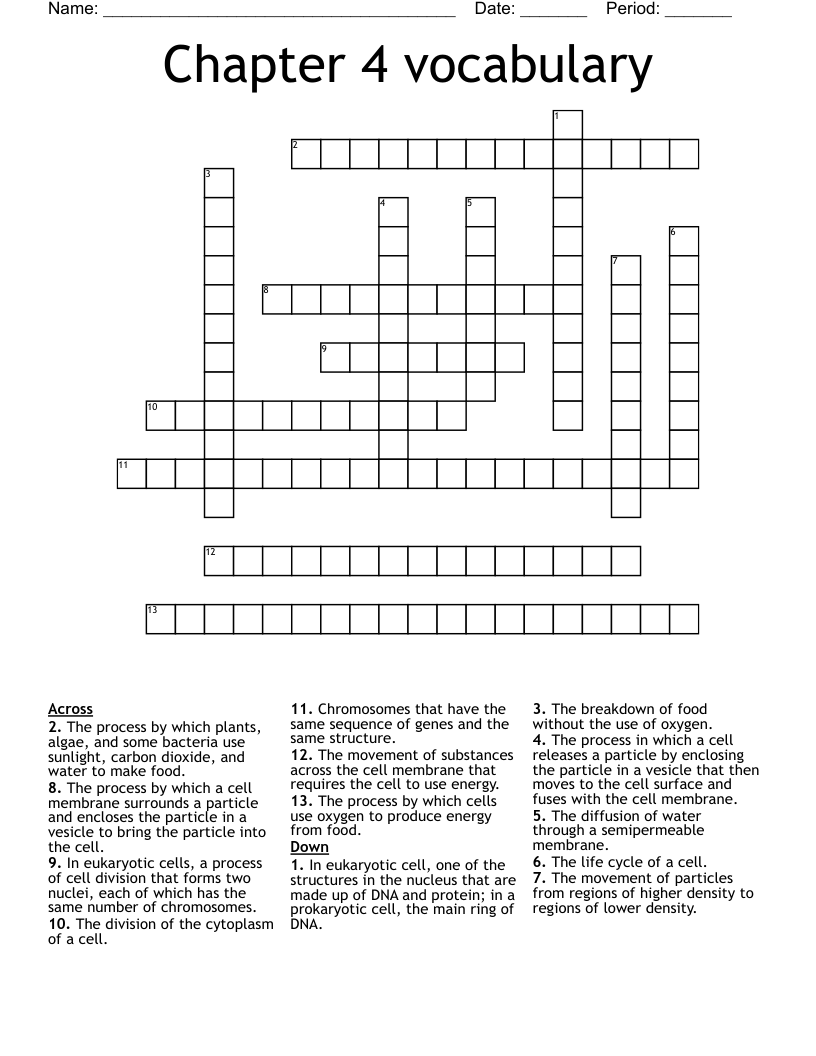 Chapter 4 vocabulary  Crossword