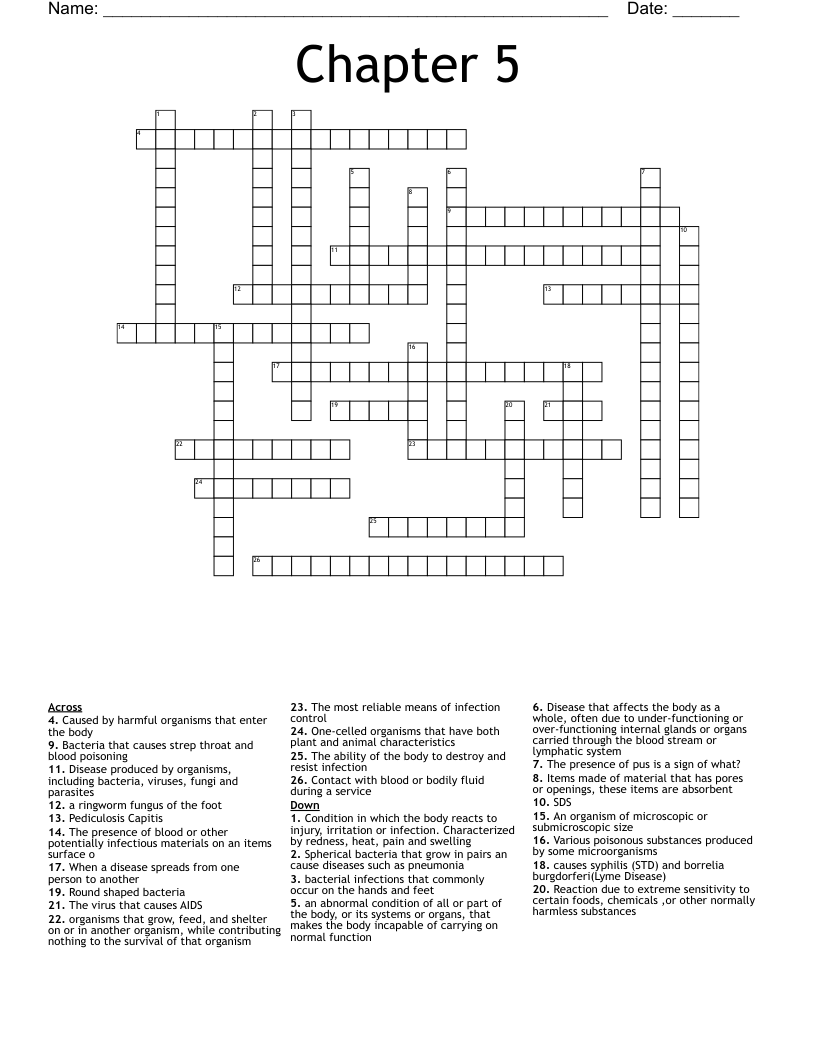Chapter 5 Crossword