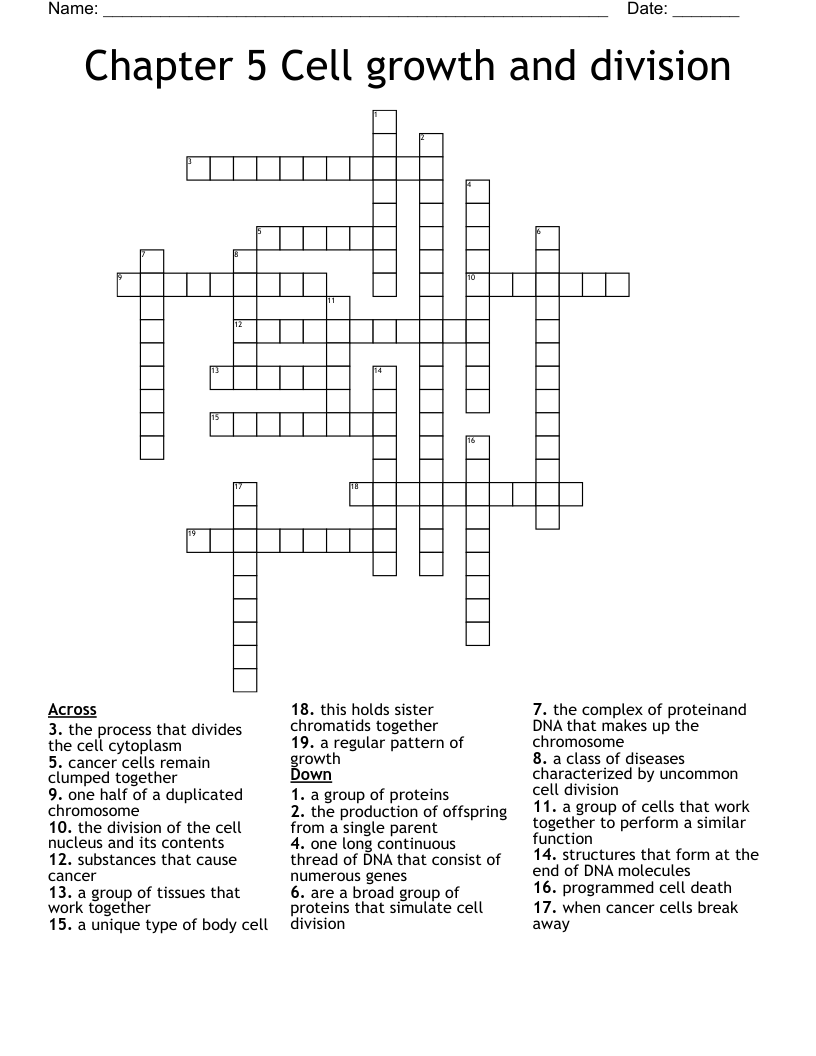 Chapter 5 Cell growth and division Crossword
