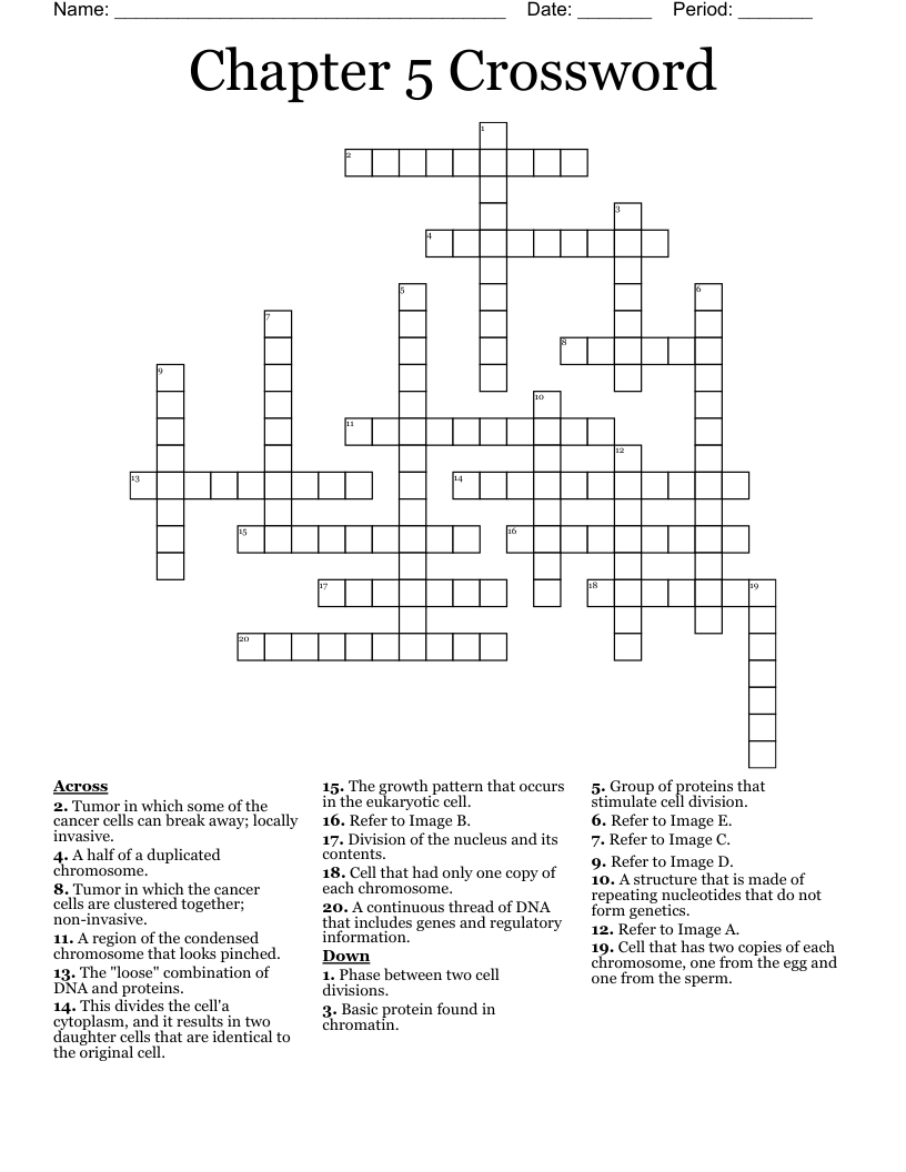 Chapter 5 Crossword