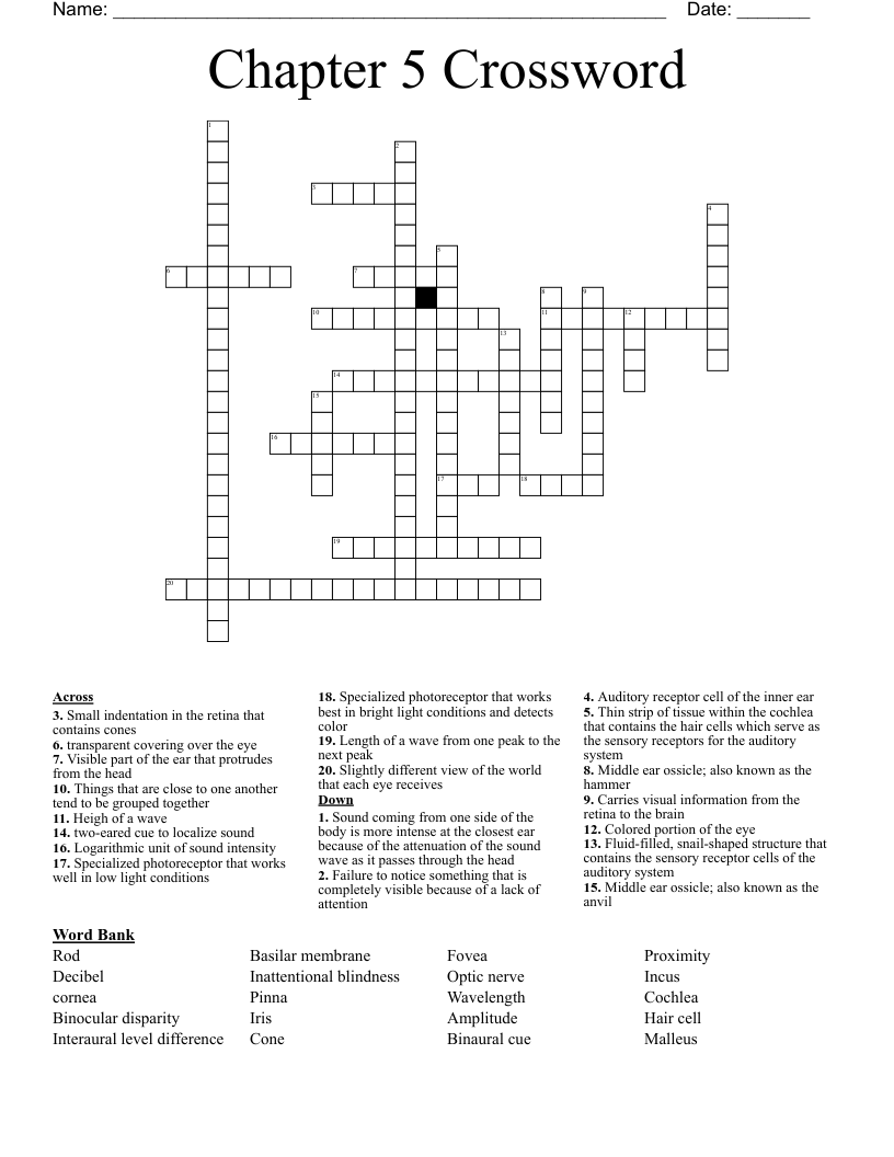 Chapter 5 Crossword 