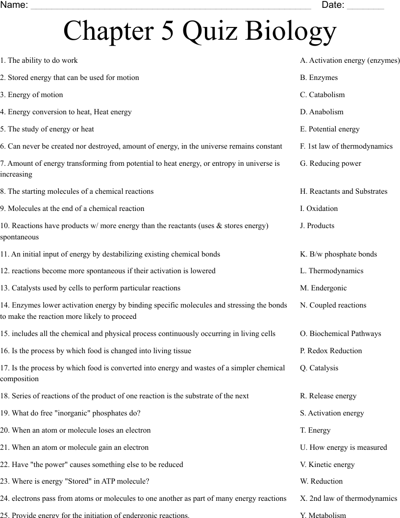 Chapter 5 Quiz Biology  Worksheet