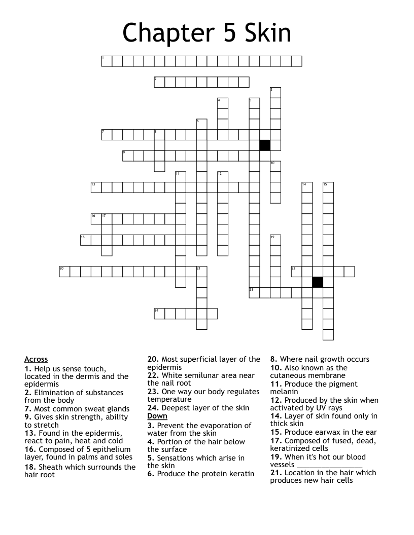 Chapter 5 Skin Crossword