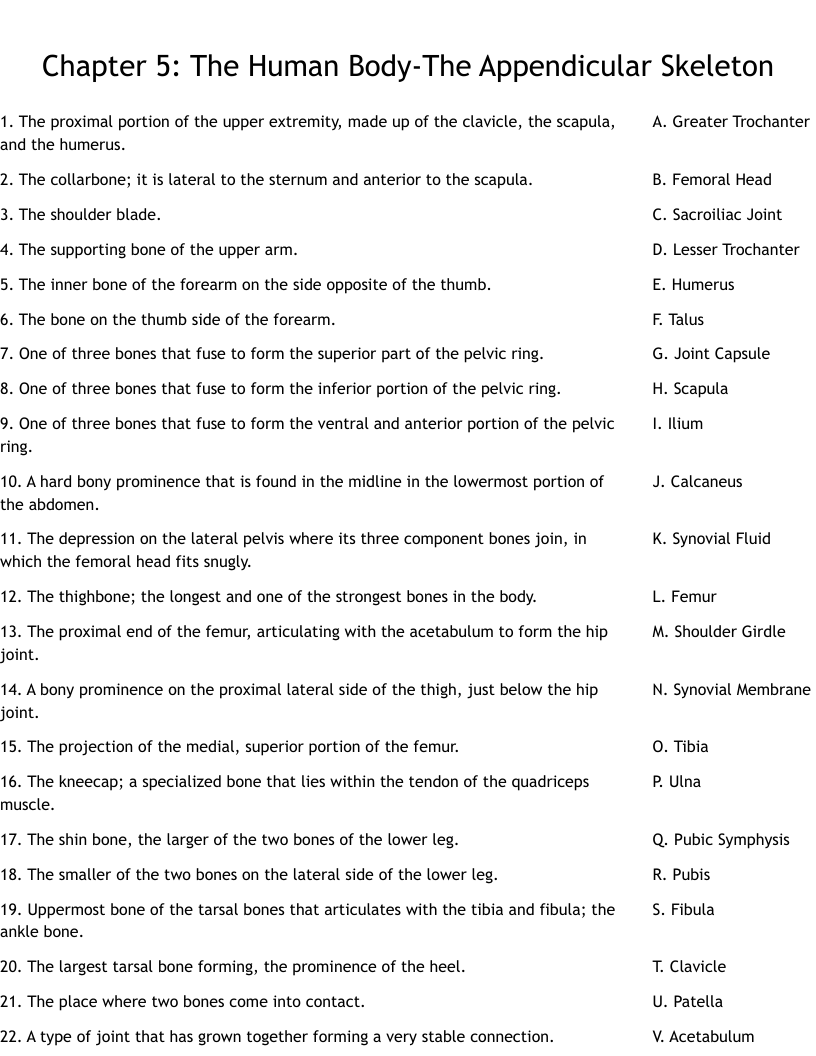 Chapter 5: The Human Body-The Appendicular Skeleton Worksheet