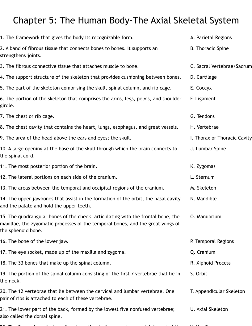Chapter 5: The Human Body-The Axial Skeletal System Worksheet