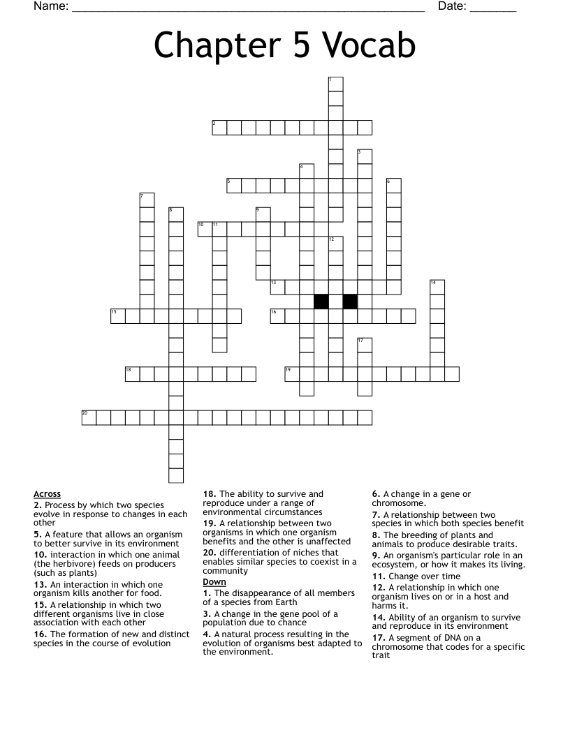 Chapter 5 Vocab Crossword