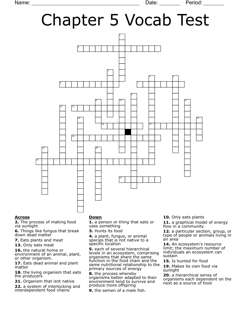 Chapter 5 Vocab Test  Crossword