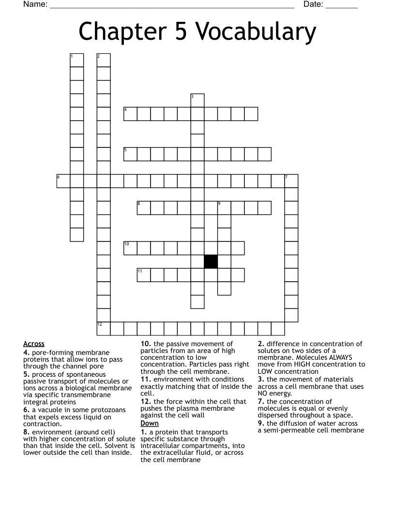Chapter 5 Vocabulary Crossword