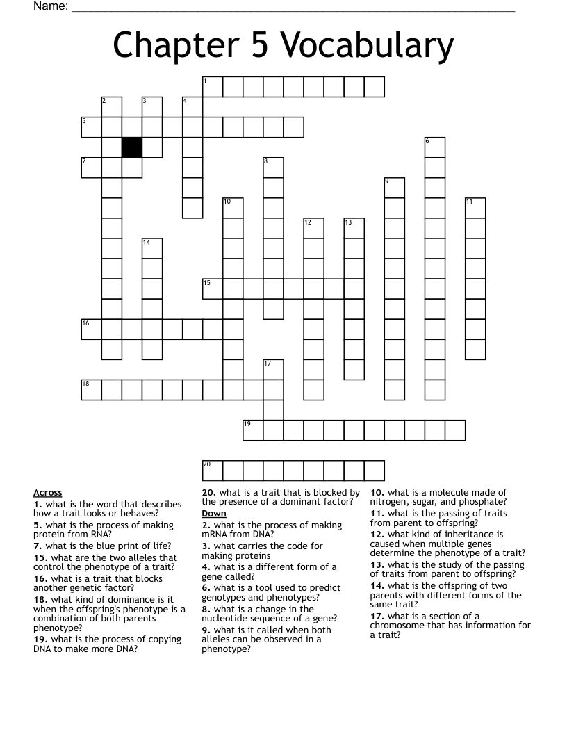 Chapter 5 Vocabulary  Crossword