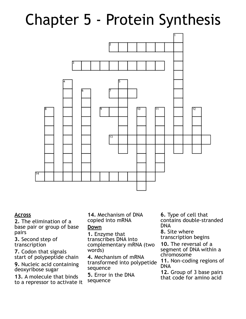 Chapter 5 - Protein Synthesis Crossword