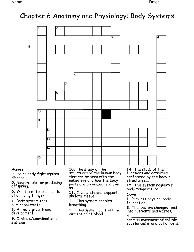 Chapter 6 Anatomy and Physiology; Body Systems Crossword