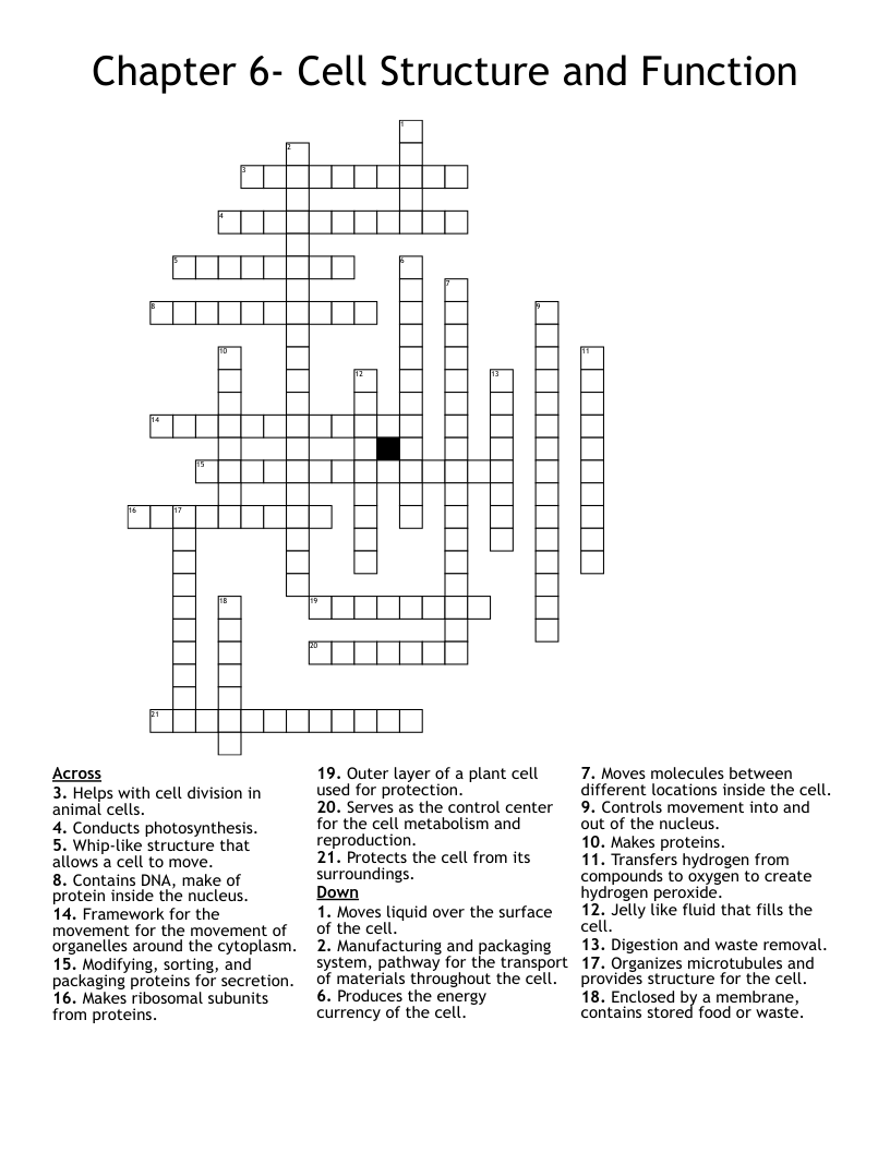 Chapter 6- Cell Structure and Function Crossword