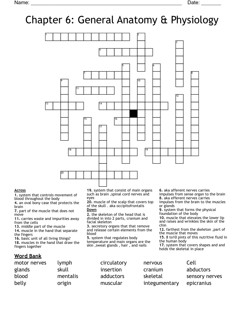 Chapter 6: General Anatomy & Physiology Crossword