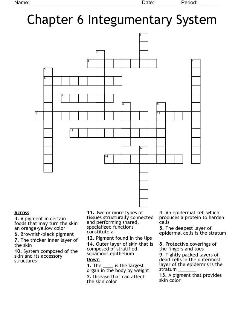 Chapter 6 Integumentary System  Crossword