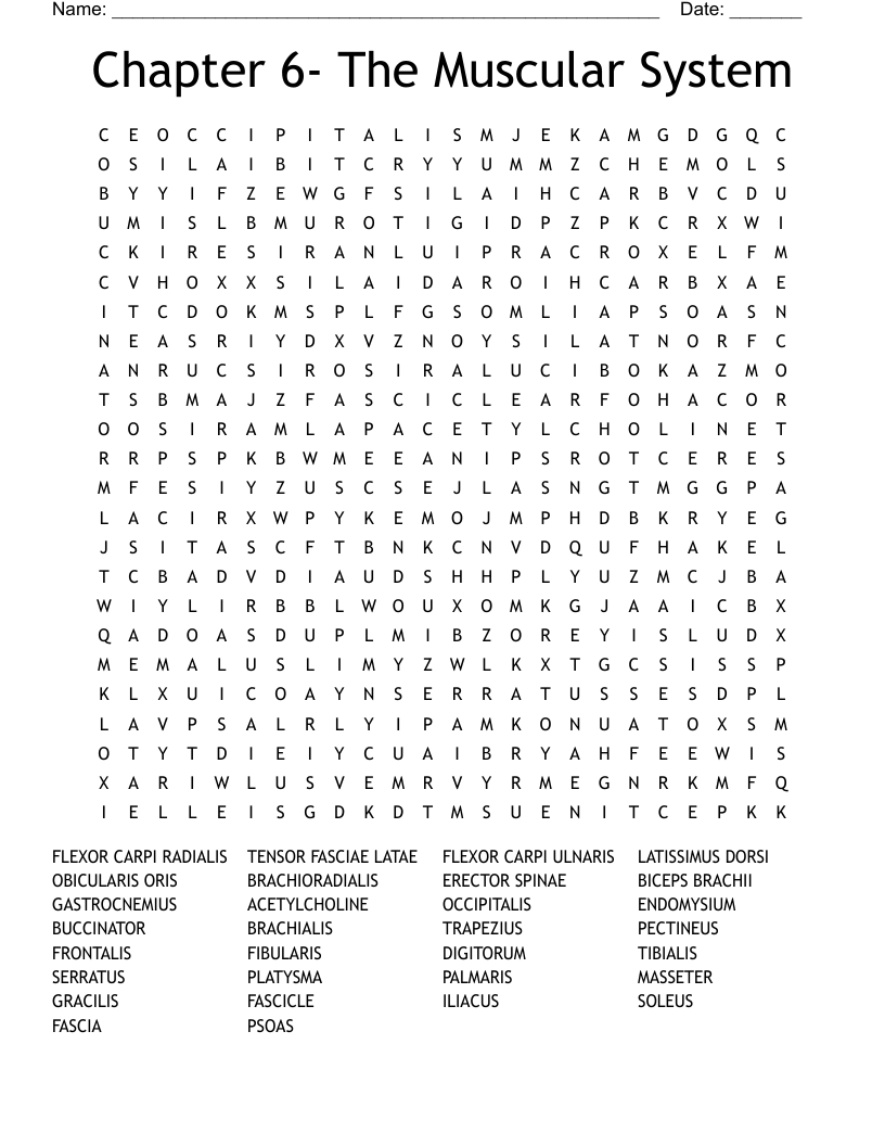 Chapter 6- The Muscular System Word Search