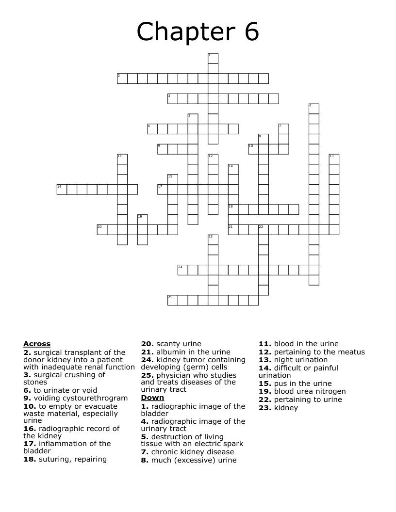 Chapter 6  Crossword