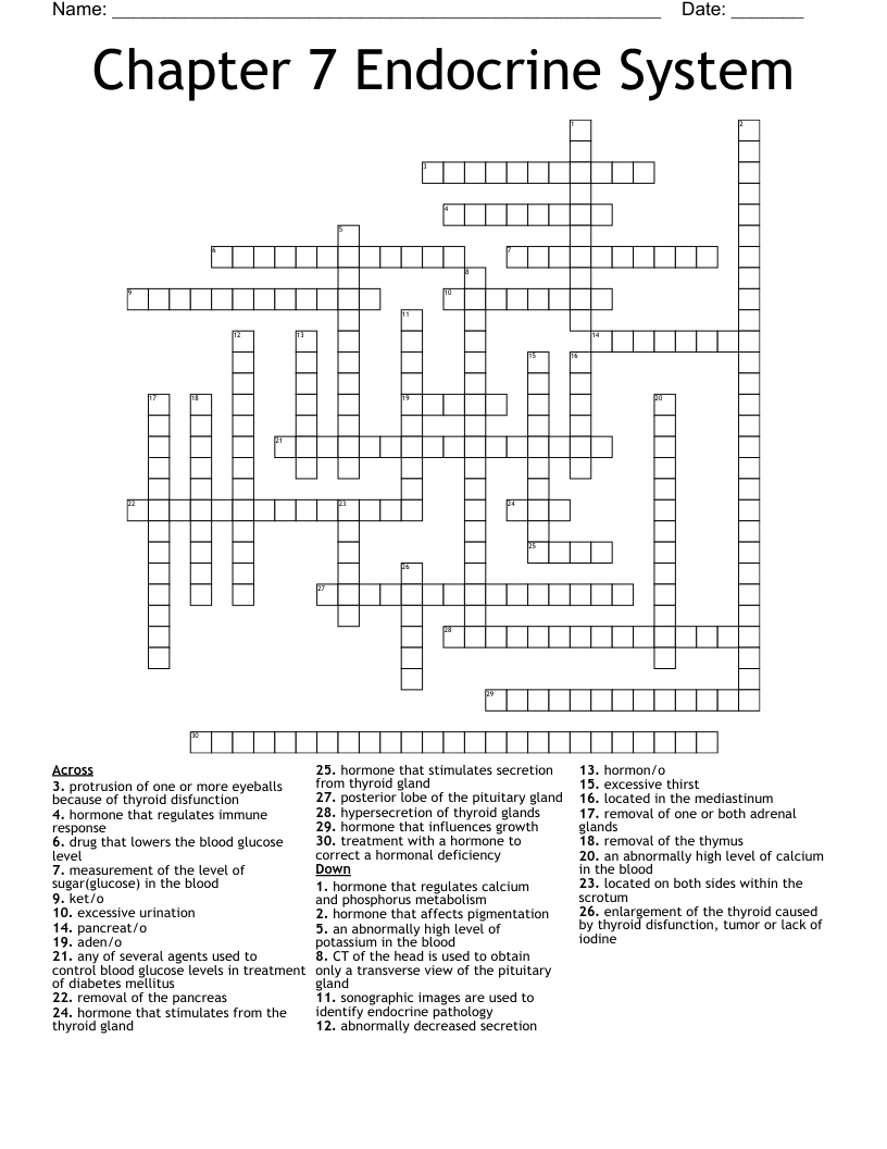 Chapter 7 Endocrine System Crossword