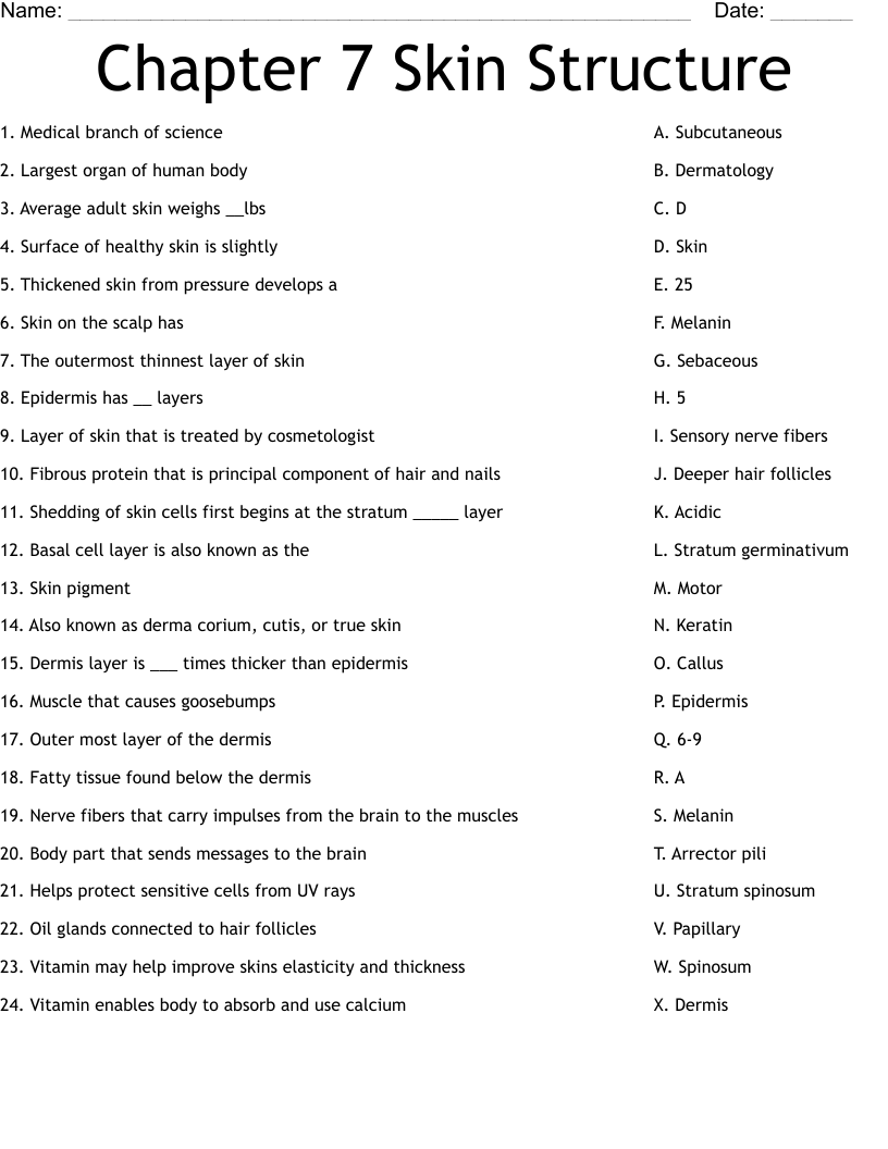 Chapter 7 Skin Structure  Worksheet