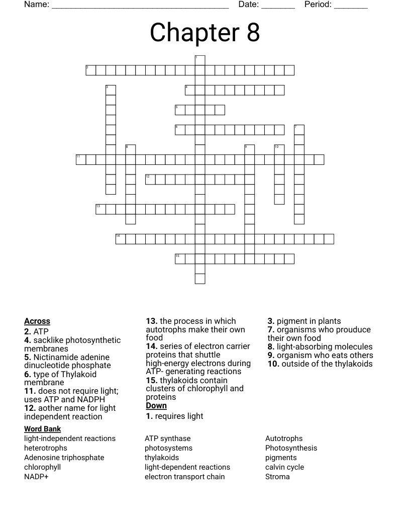 Chapter 8 Crossword