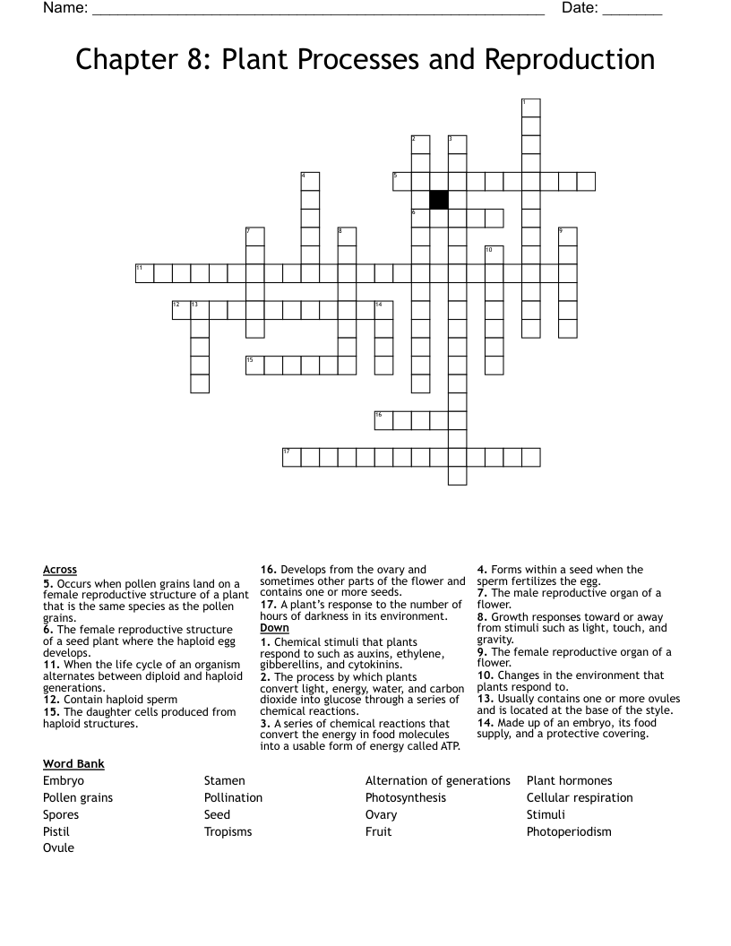 Chapter 8: Plant Processes and Reproduction Crossword