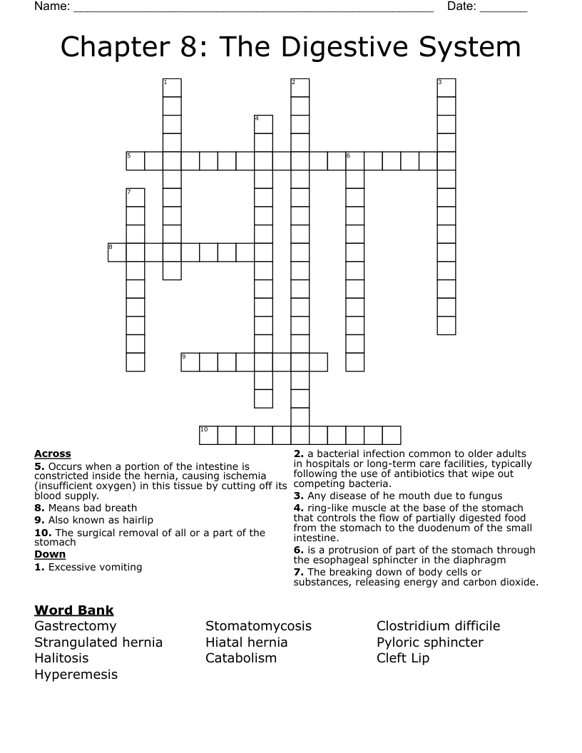 Chapter 8: The Digestive System Crossword