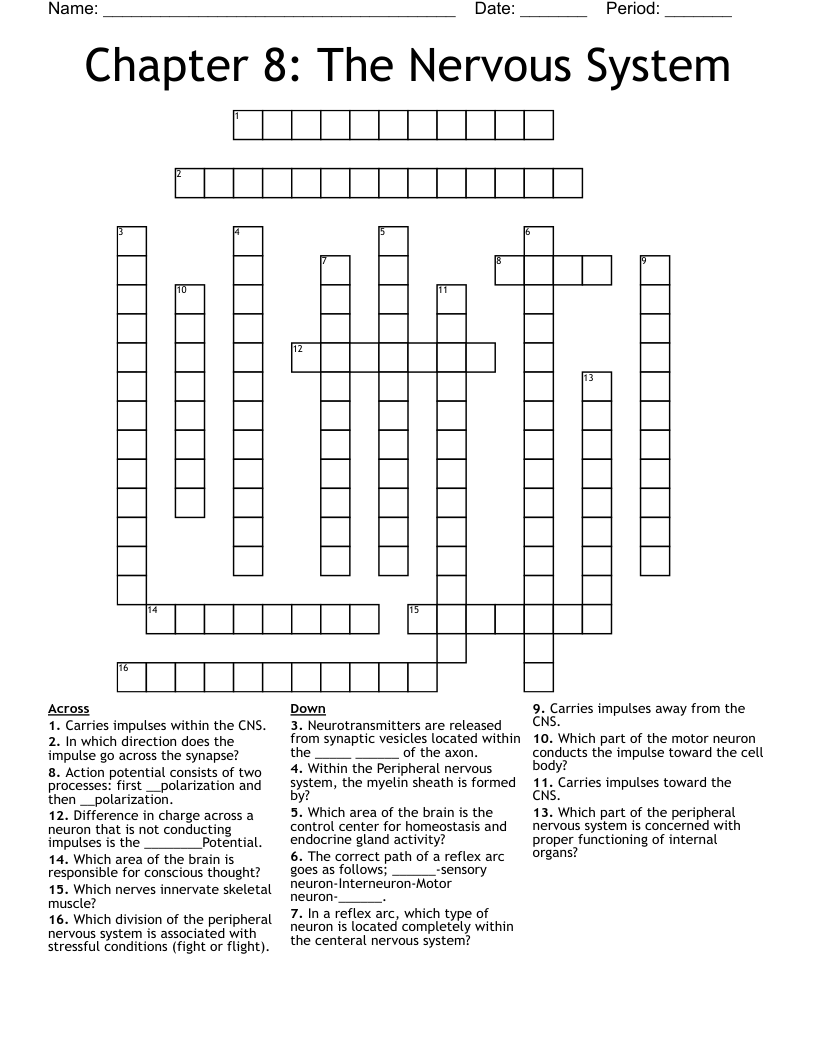 Chapter 8: The Nervous System Crossword
