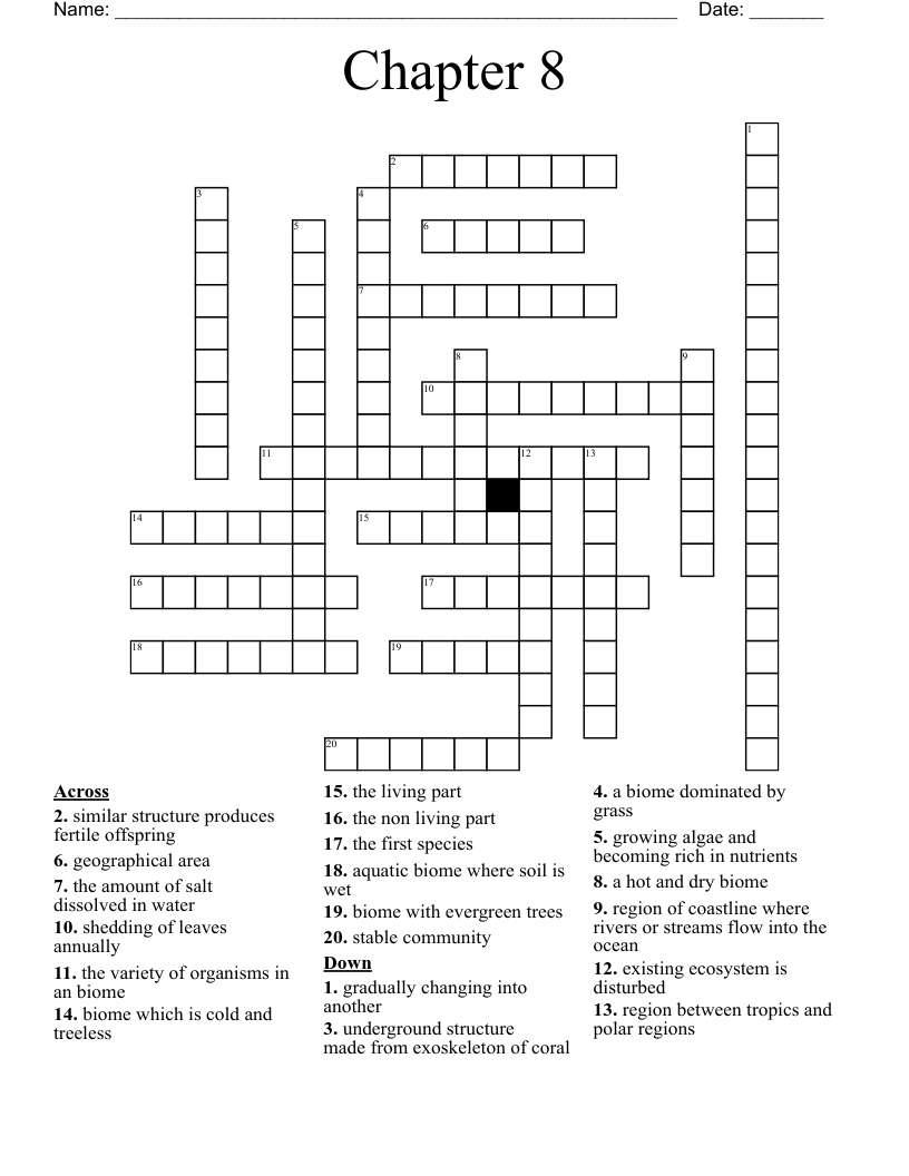 Chapter 8  Crossword