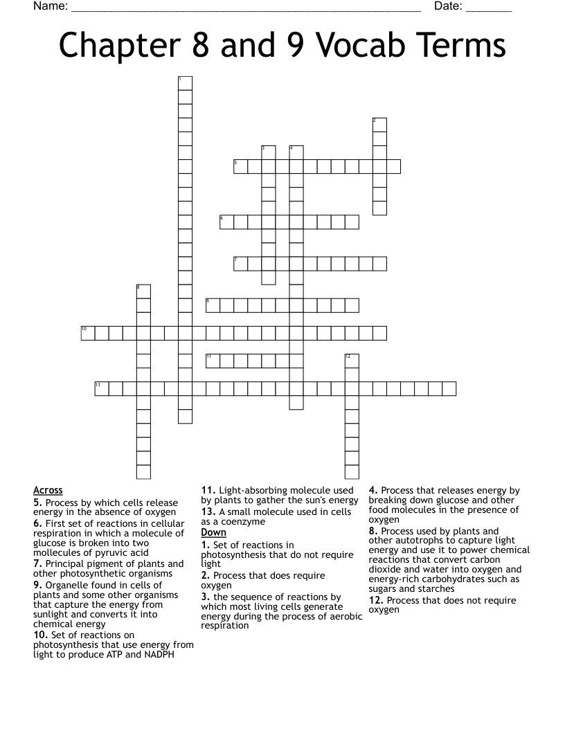 Chapter 8 and 9 Vocab Terms Crossword
