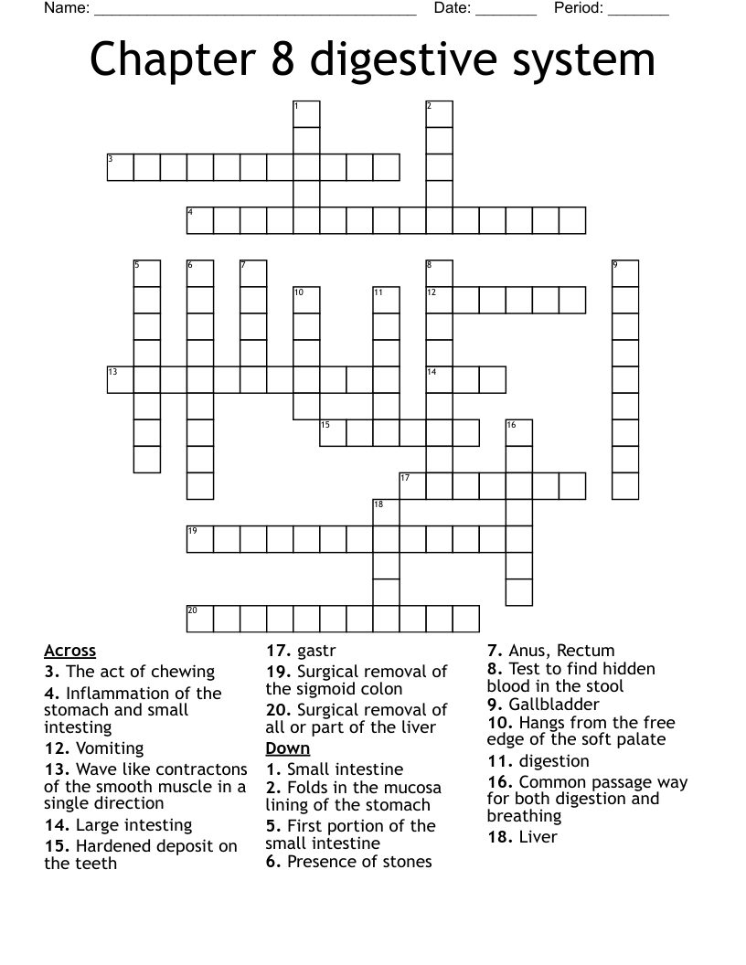 Chapter 8 digestive system Crossword