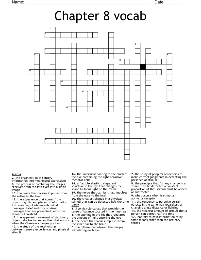 Chapter 8 vocab Crossword
