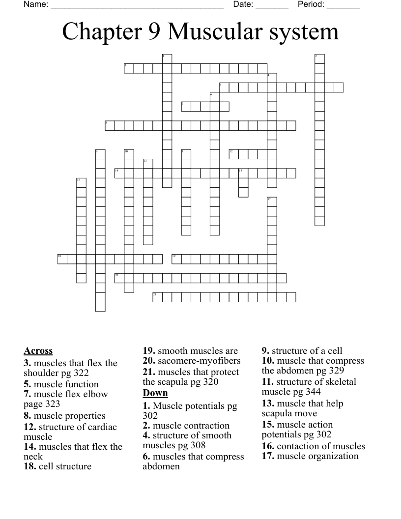 Chapter 9 Muscular system Crossword