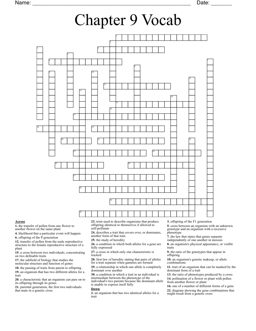 Chapter 9 Vocab Crossword