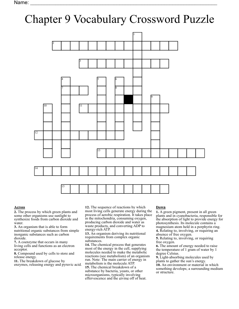 Chapter 9 Vocabulary Crossword Puzzle