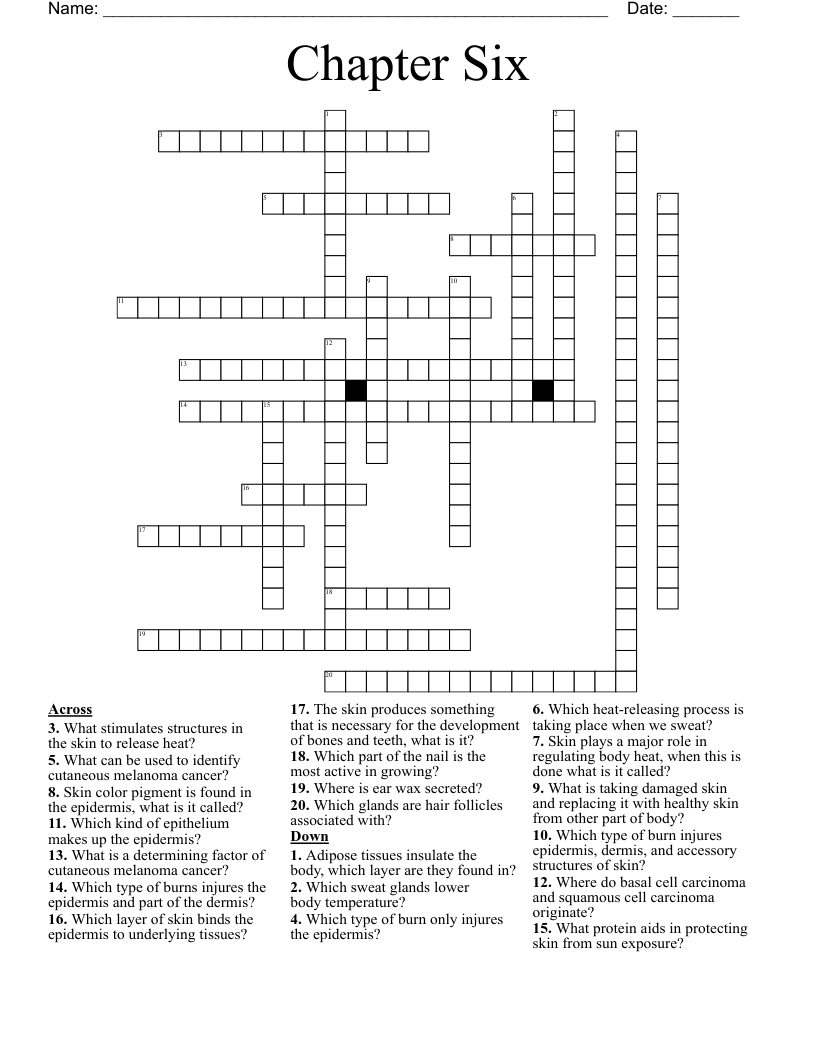 Chapter Six  Crossword