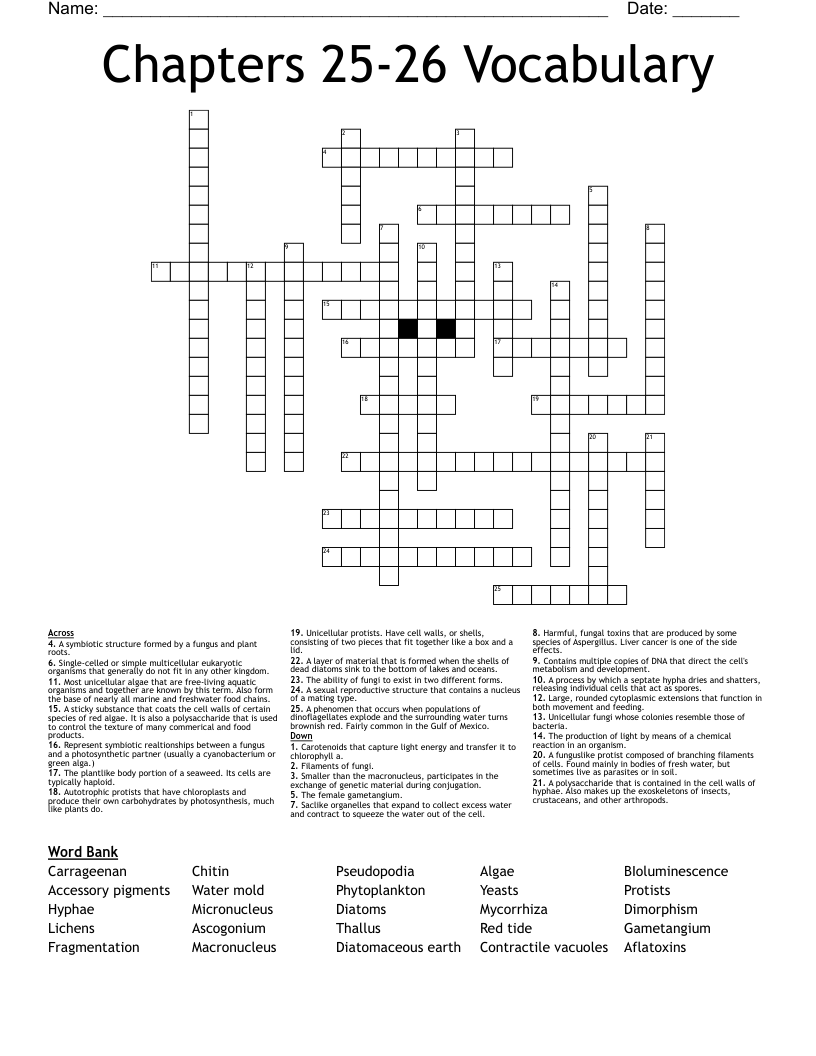 Chapters 25-26 Vocabulary  Crossword