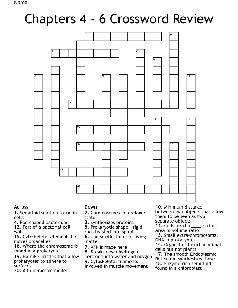 Chapters 4 - 6 Crossword Review