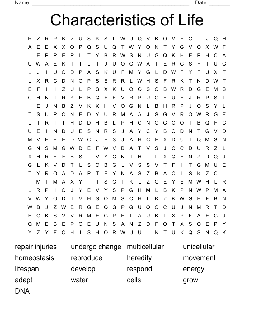 Characteristics of Life Word Search
