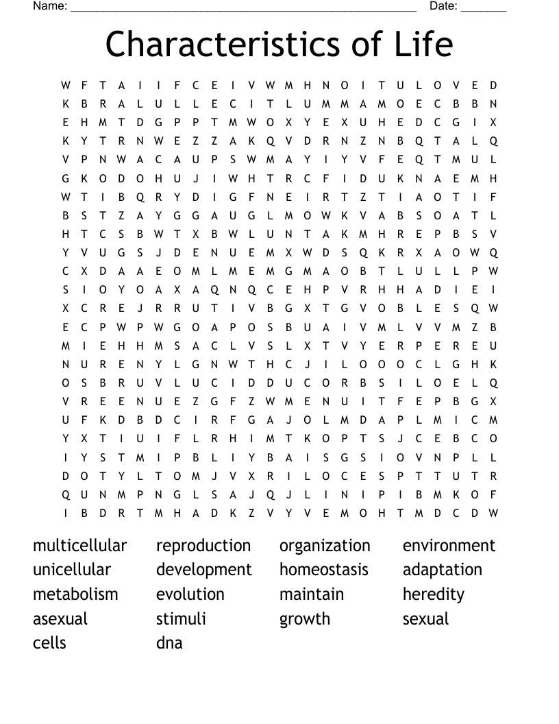 Characteristics of Life Word Search