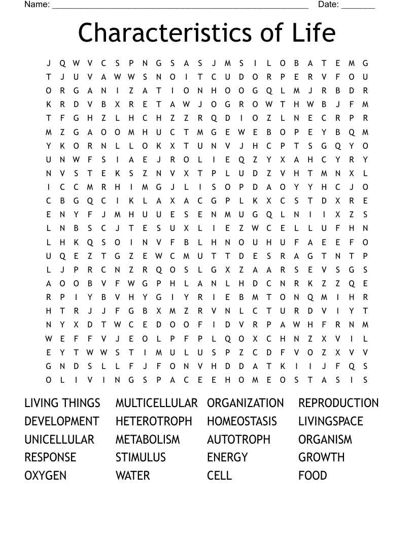 Characteristics of Life Word Search