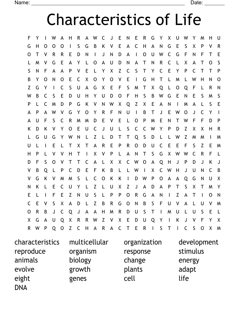 Characteristics of Life Word Search