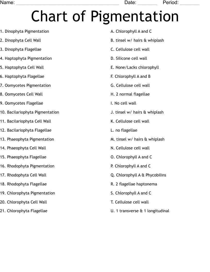 Chart of Pigmentation Worksheet