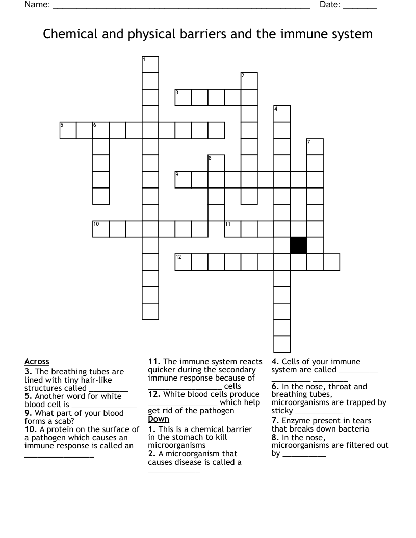 Chemical and physical barriers and the immune system Crossword