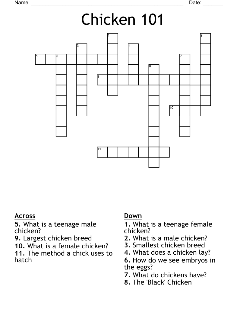 Chicken 101 Crossword
