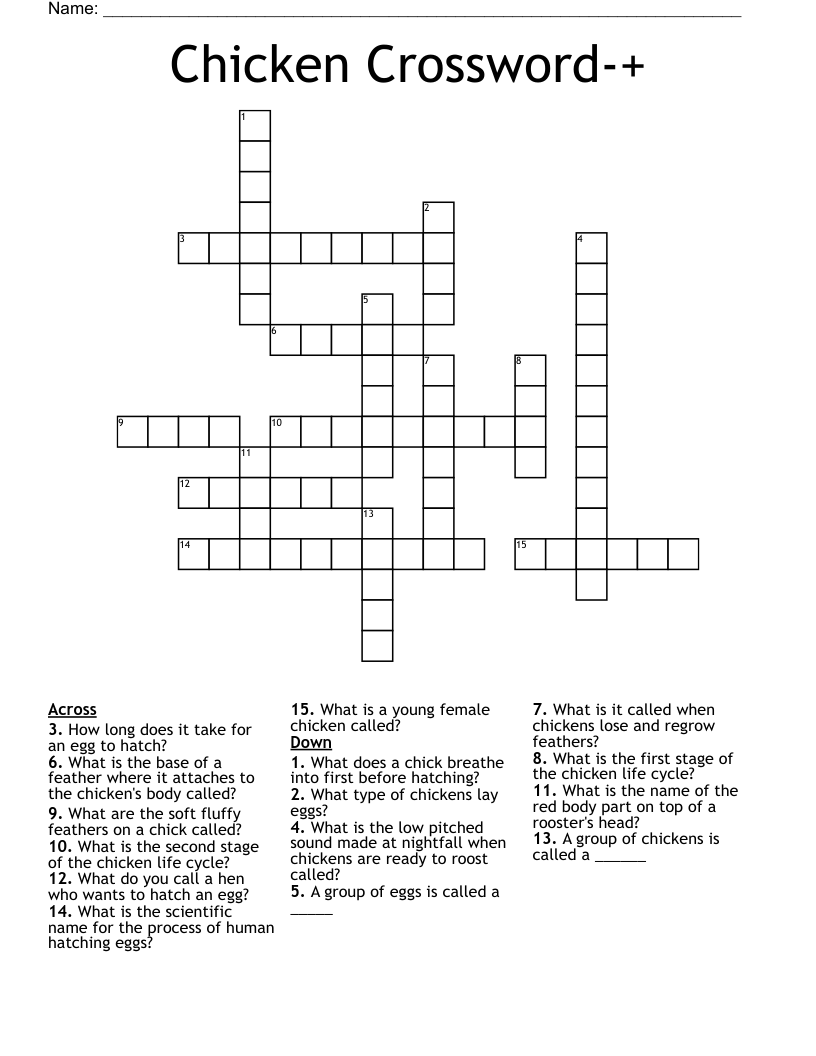 Chicken Crossword-+
