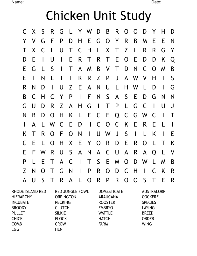 Chicken  Unit Study Word Search