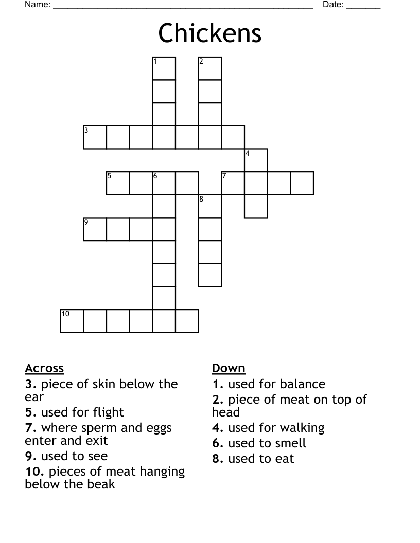 Chickens Crossword