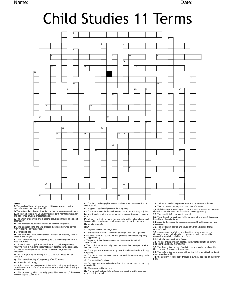Child Studies 11 Terms Crossword