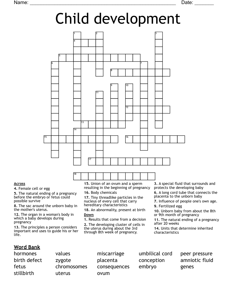 Child development Crossword